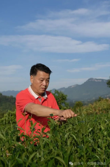 微信图片_20241025093357_1.png